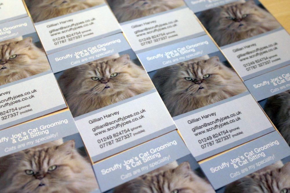 Business Cards for Scruffy Joe’s Cat Grooming & Cat Sitting