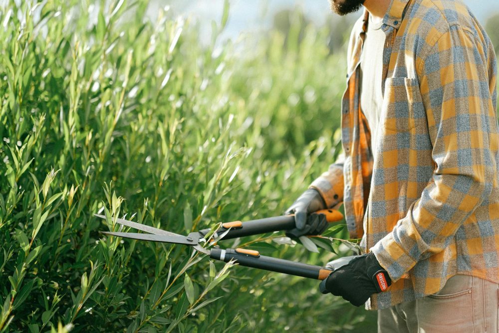 How SEO benefits builders, and gardening businesses