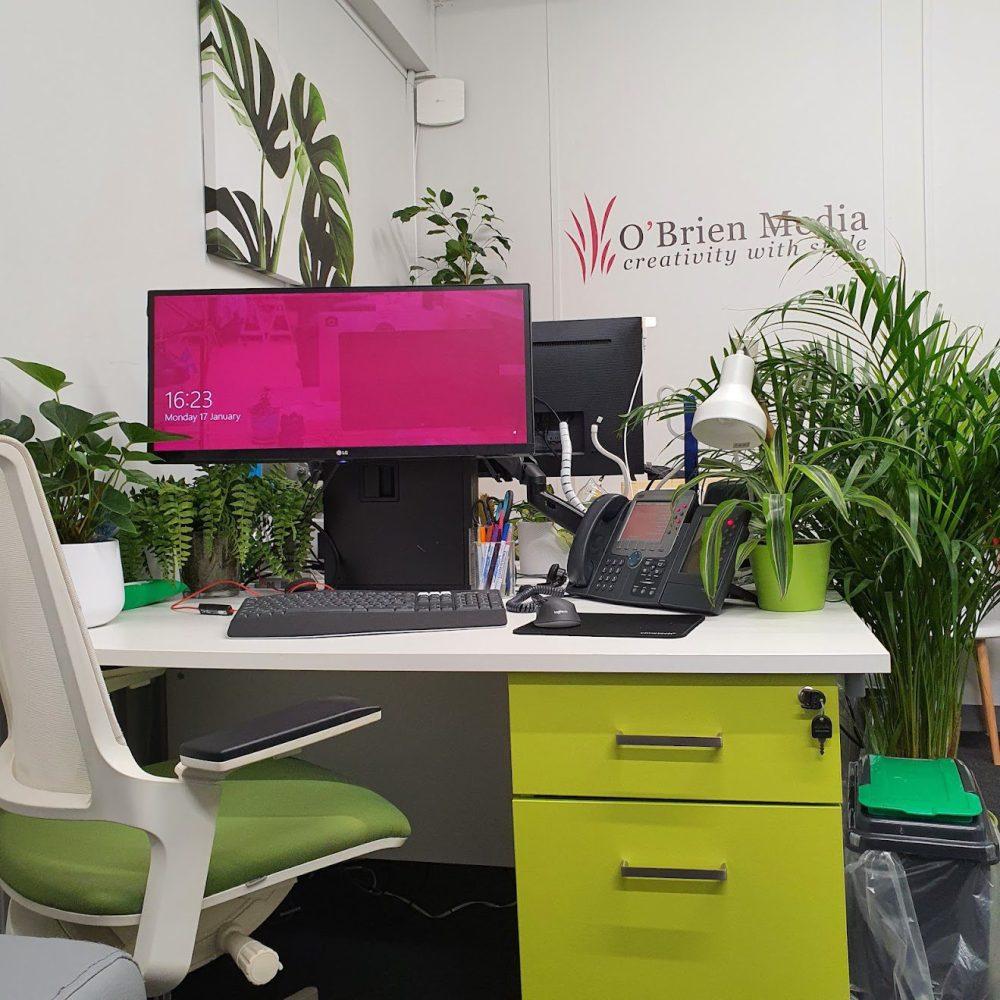 Understanding the Scope of Your Investment in Web Design Services