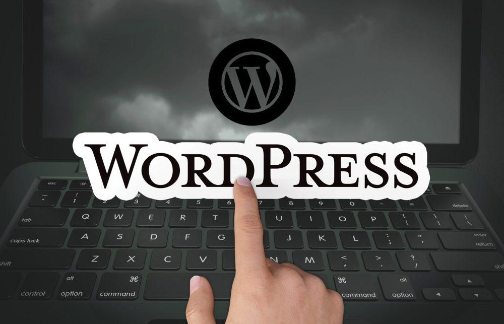 Unveiling WordPress 6.4 “Shirley”: The Latest WordPress Release