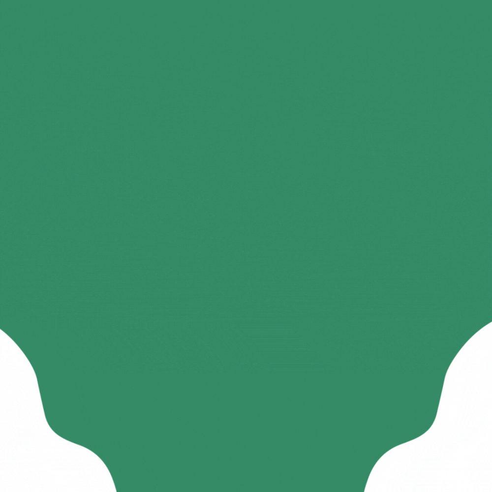 Celebrating Earth Day: How O’Brien Media is Reducing its Carbon Footprint
