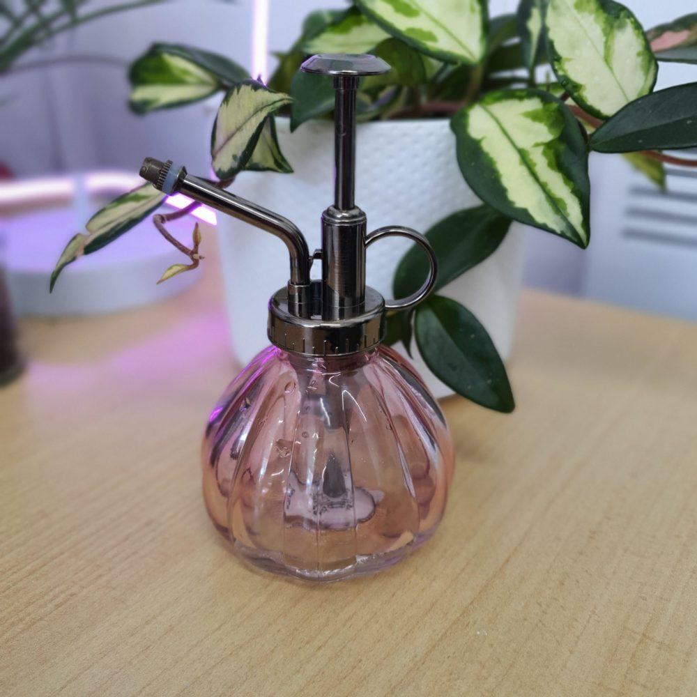 Pink glass plant mister on a desk in front of a leafy plant in a white pot