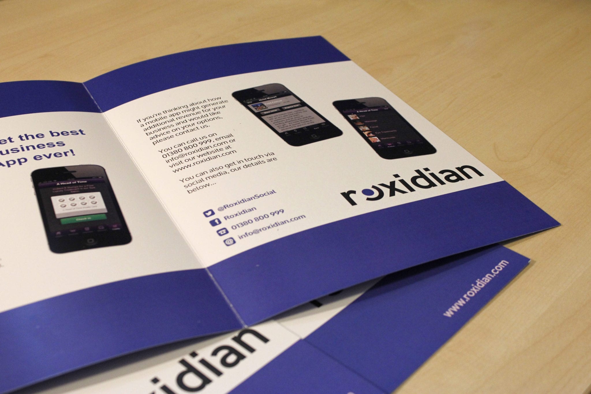 design-and-print-of-promotional-materials-for-roxidian.jpg