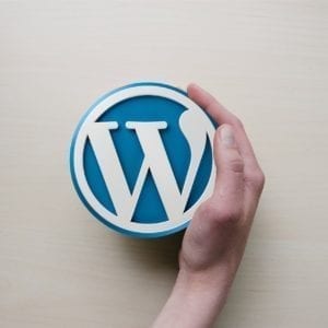 A hand holding a WordPress logo