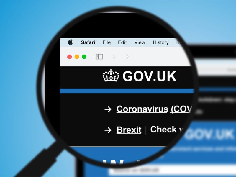 UK Government vector webpage
