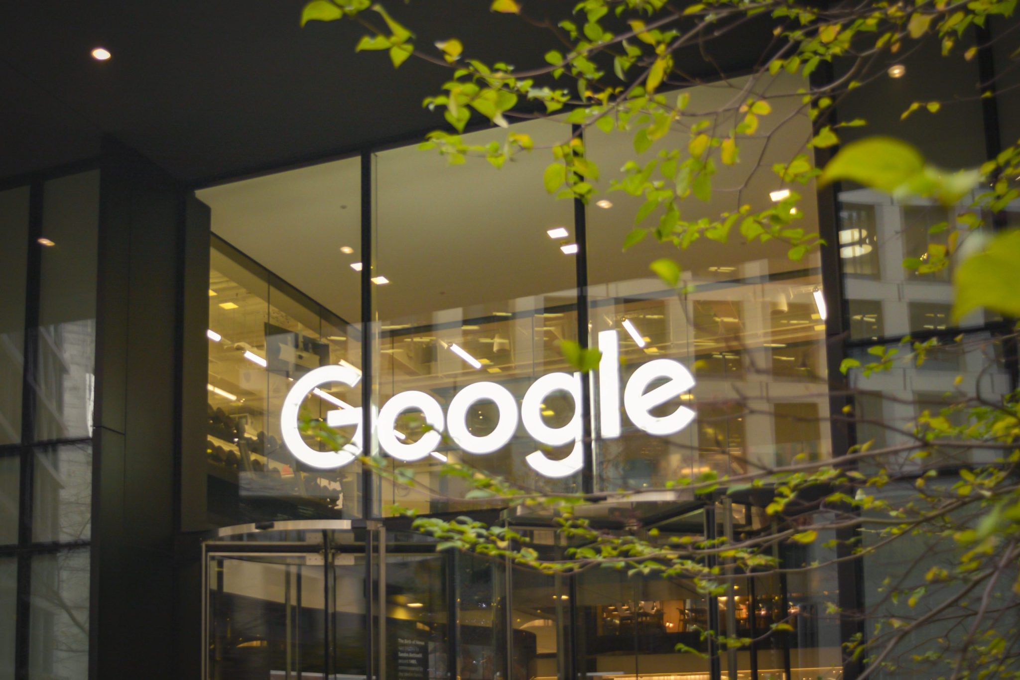 Google office building with illuminated logo and modern glass façade, partially obscured by tree branches.